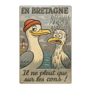 Plaque Métallique Bretagne – “Il ne pleut que sur les cons” – Déco Murale Humoristique
