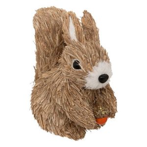 Petit écureuil d'automne