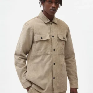 Chemise Dickies Higginson Ecru pour Homme - Élégance et Confort en Velours Côtelé