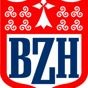 Autocollant BZH Ligue Football