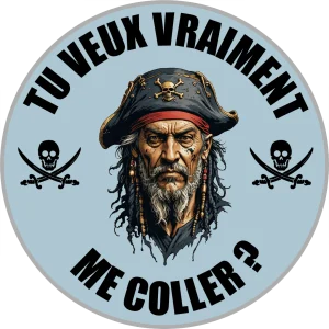 Autocollant Tu Veux Vraiment Me Coller ?