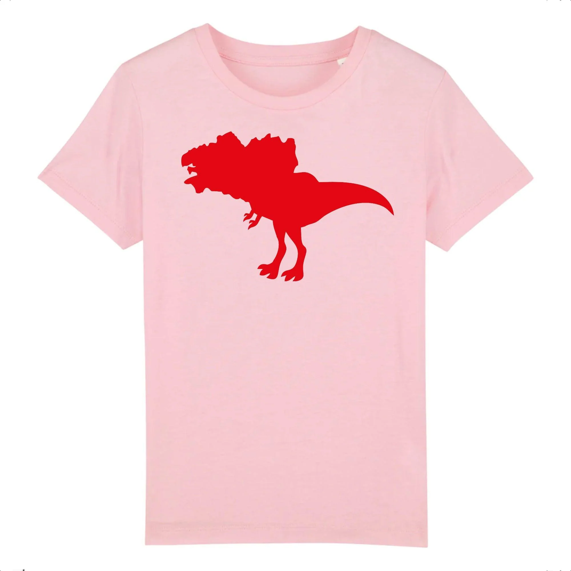 Tee-shirt Bio Enfant Dino Breizh – Image 3