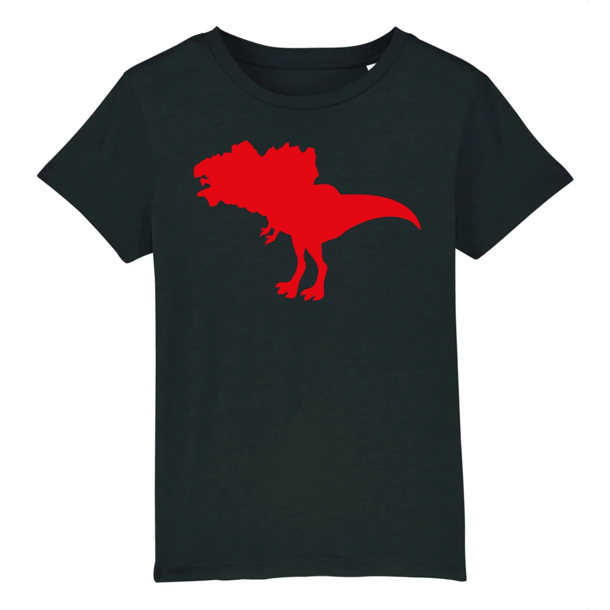Tee-shirt Bio Enfant Dino Breizh – Image 5